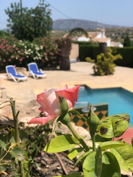 Rustico Appartment 'Olta' In Finca, See-And Garden Side Teulada Exterior photo